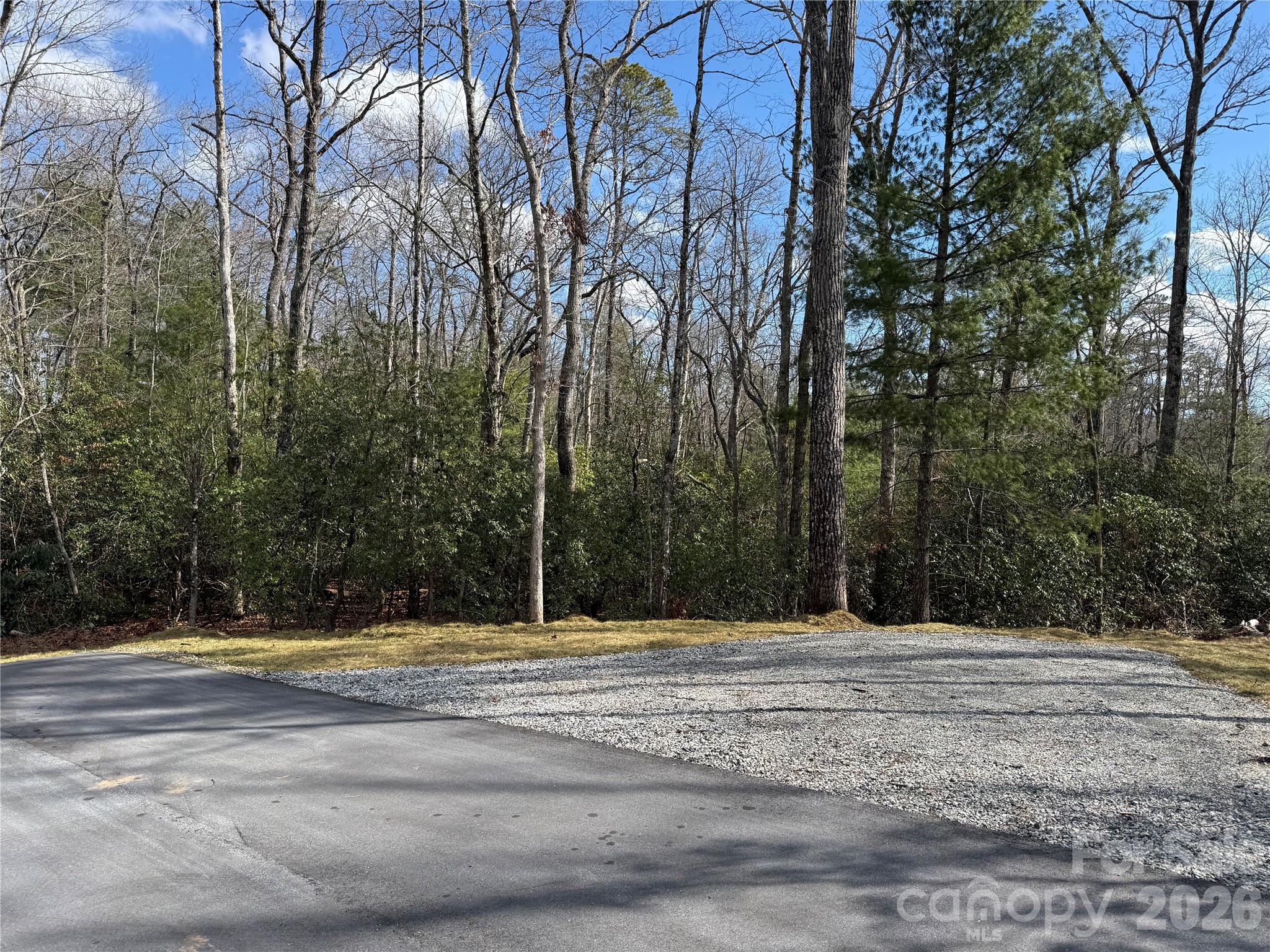 3 Turtle Rdg Trail Mills River, NC 28759 - Photo 2 of 16 a view of swimming pool with trees