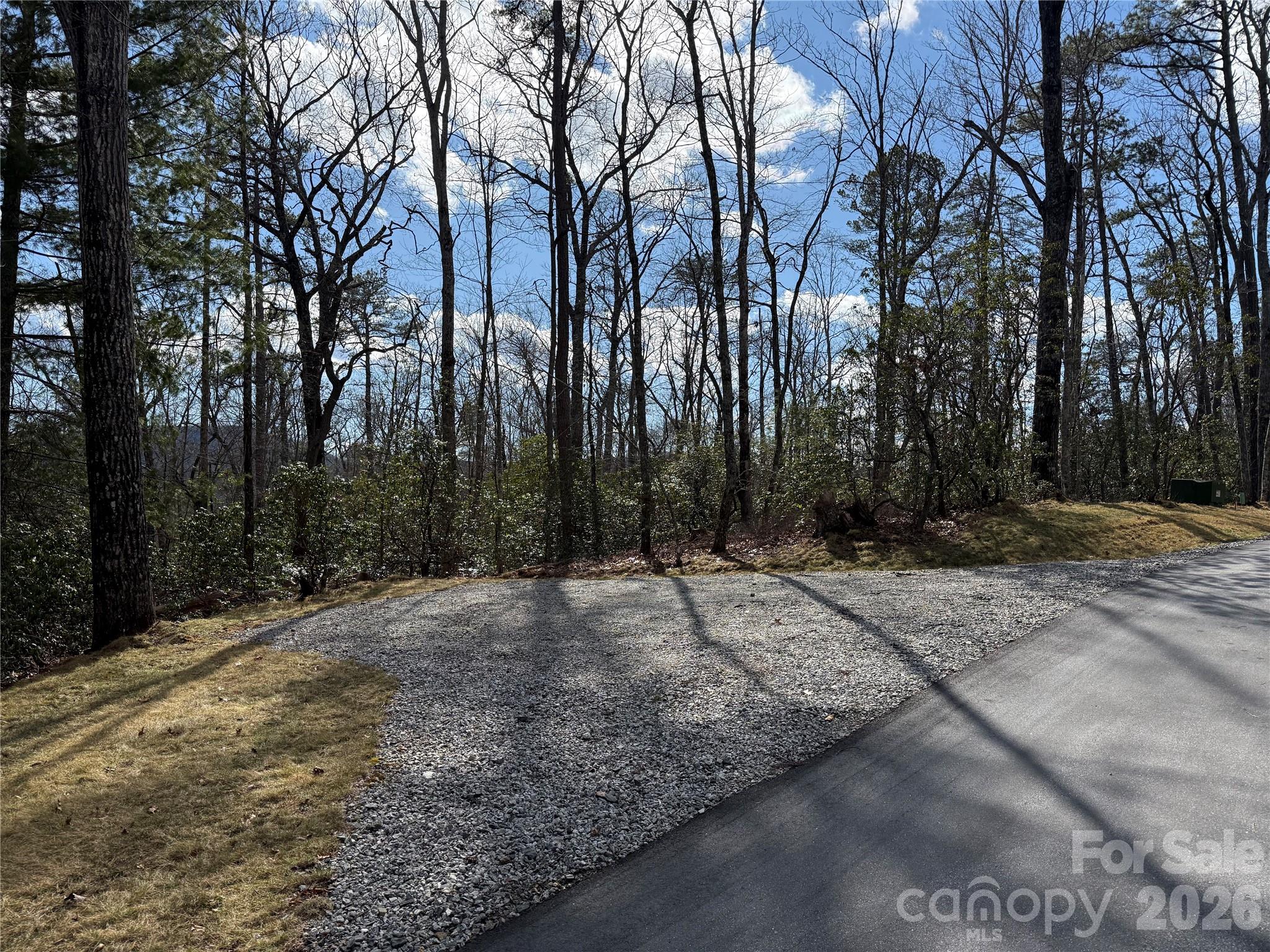 3 Turtle Rdg Trail Mills River, NC 28759 - Photo 4 of 16 a view of outdoor space with trees