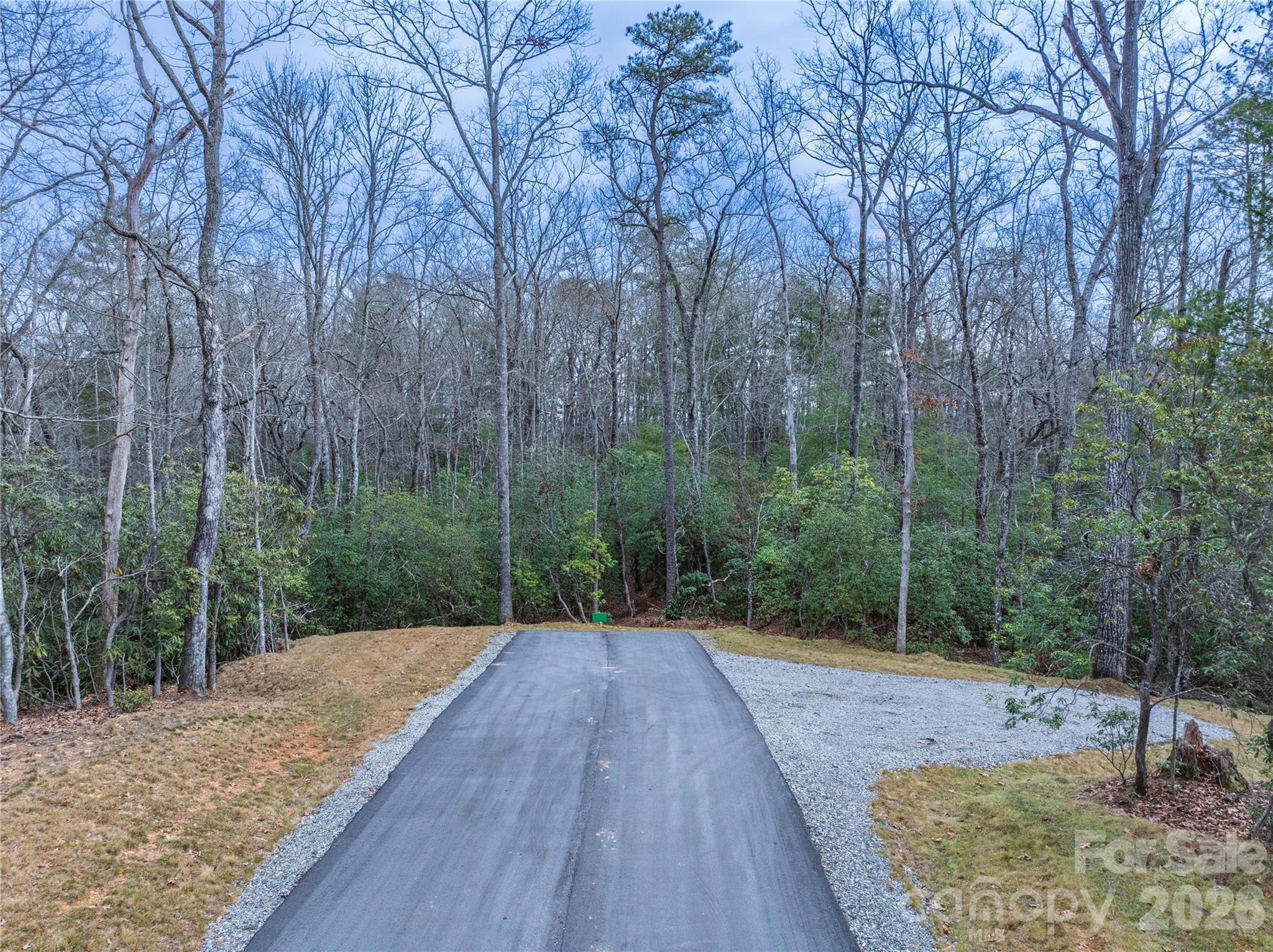 3 Turtle Rdg Trail Mills River, NC 28759 - Photo 6 of 16 a view of a backyard with large trees