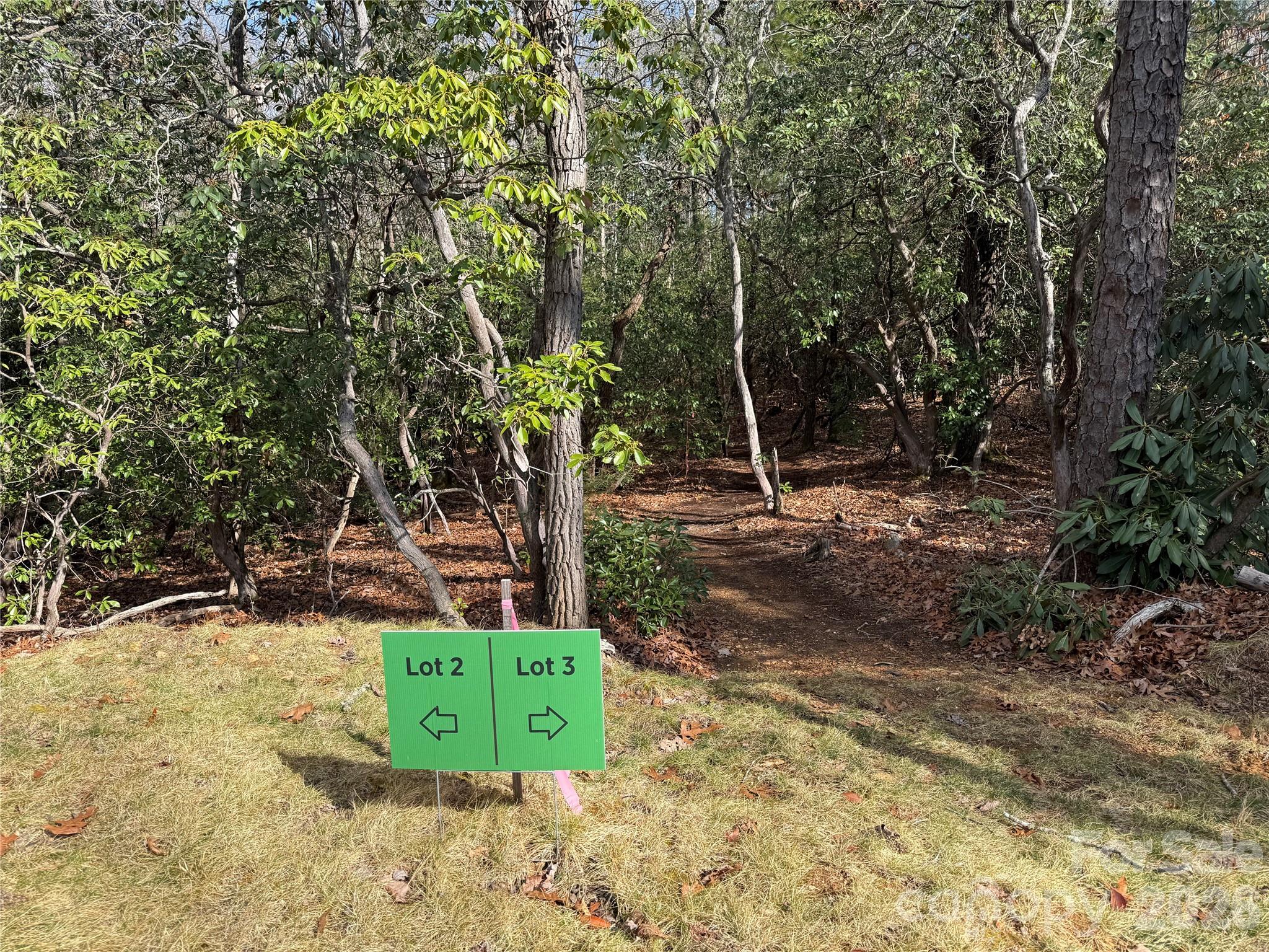 3 Turtle Rdg Trail Mills River, NC 28759 - Photo 9 of 16 a view of a tree in a yard