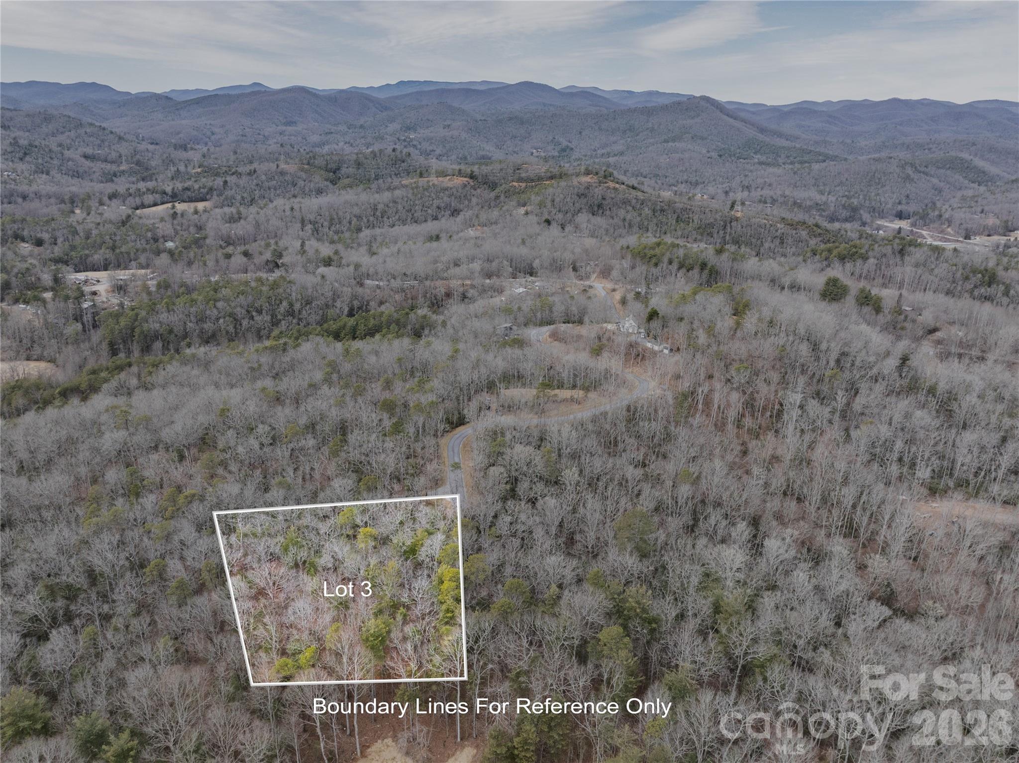 3 Turtle Rdg Trail Mills River, NC 28759 - Photo 10 of 16 a view of a mountain from the distance