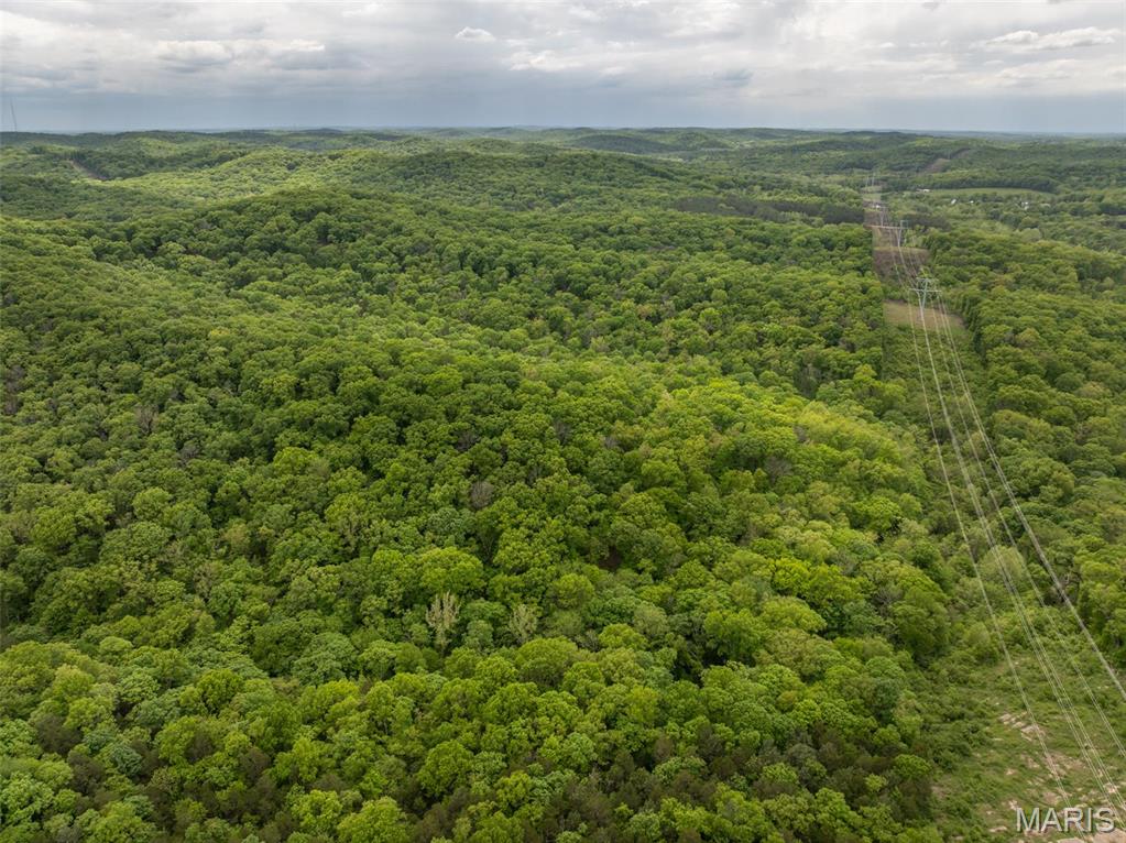 8 Pine Ridge Lane Eureka, MO 63025 - Photo 28 of 30