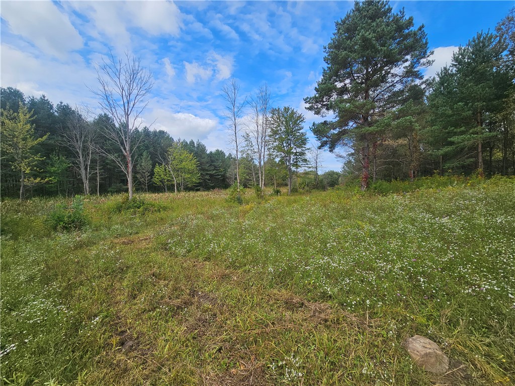 121 Buffalo Road Arcadia, NY 14513 - Photo 1 of 25 Gallery Image 1