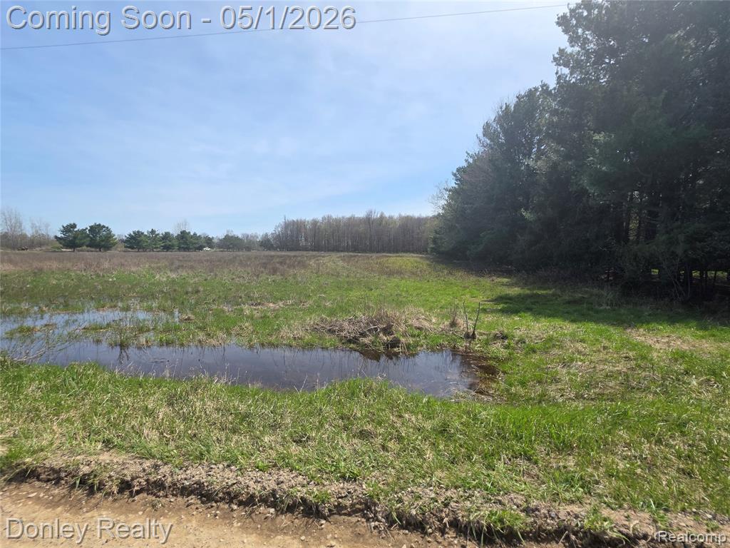 V/l Hyde Road Carsonville, MI 48419 - Photo 2 of 5