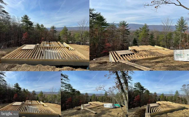 a view of a bathtub in a backyard with trees