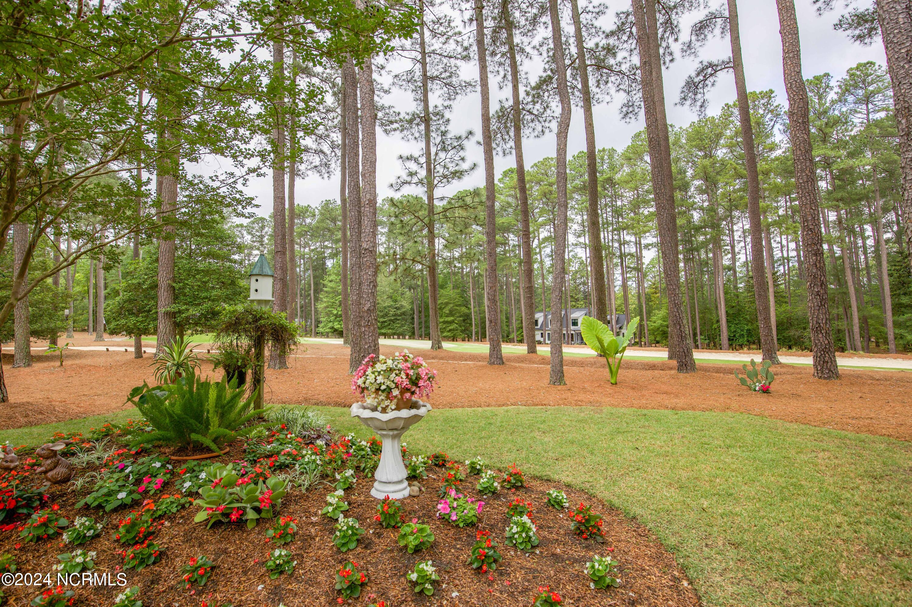45 Pinewild Drive Pinehurst, NC 28374 - Photo 6 of 50 Gardens Golf course