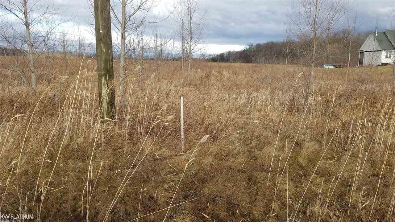 0 Fisher Road Yale, MI 48097 - Photo 2 of 3