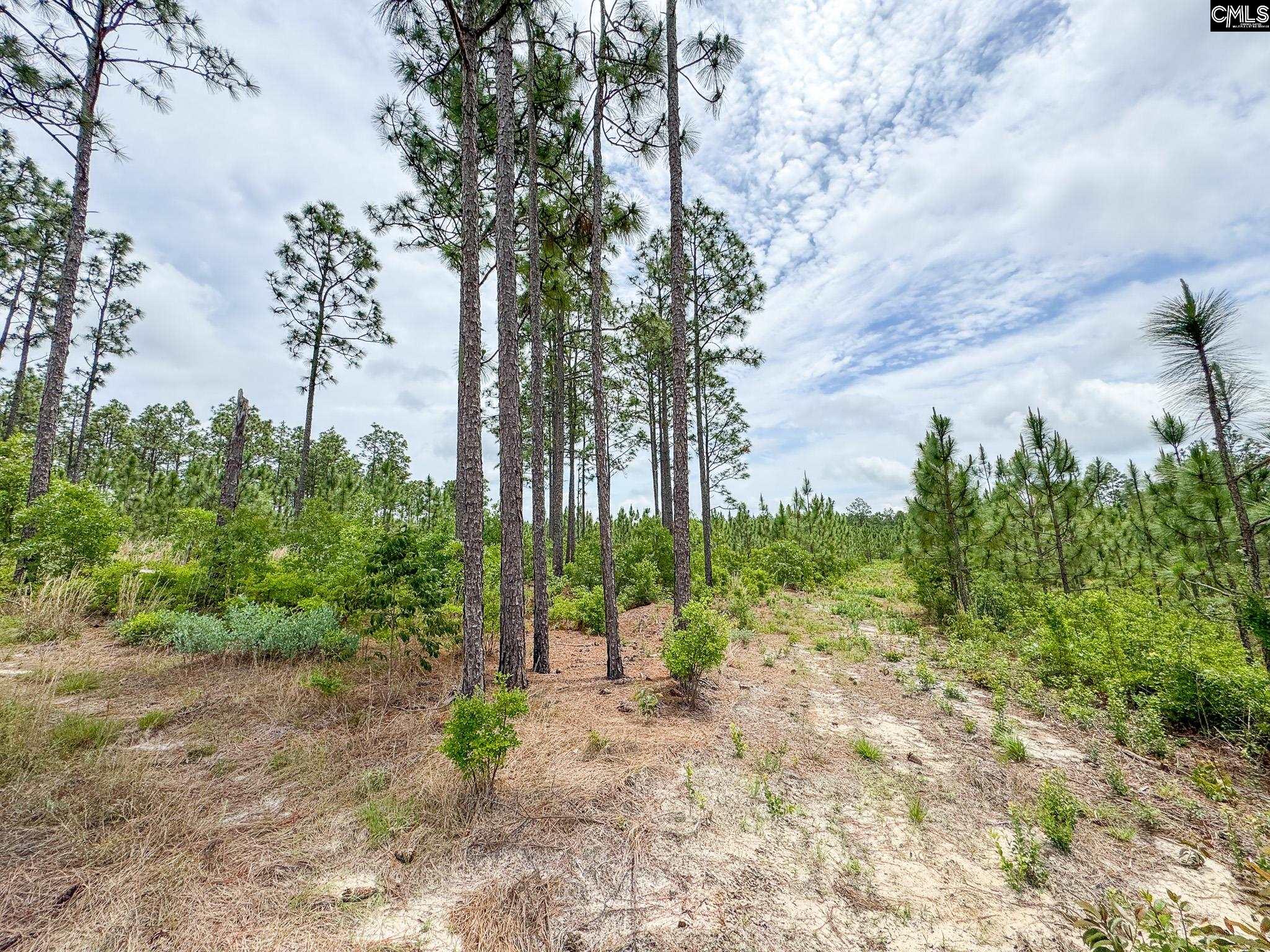 0 Neely Wingard Road, Unit LOT 7 Leesville, SC 29070 - Photo 3 of 6