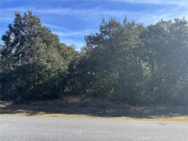 $39,900 | Southwest 142nd Place Road, Ocala, FL 34473