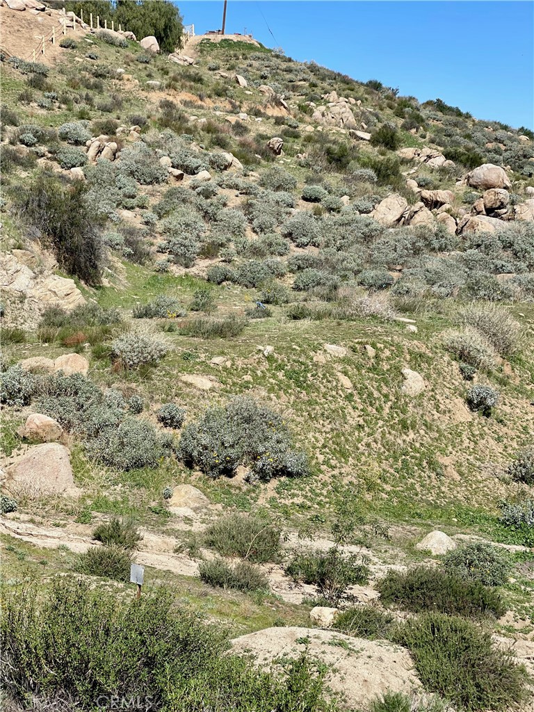 53 Spring Road Colton, CA 92324 - Photo 5 of 12 a view of a big yard