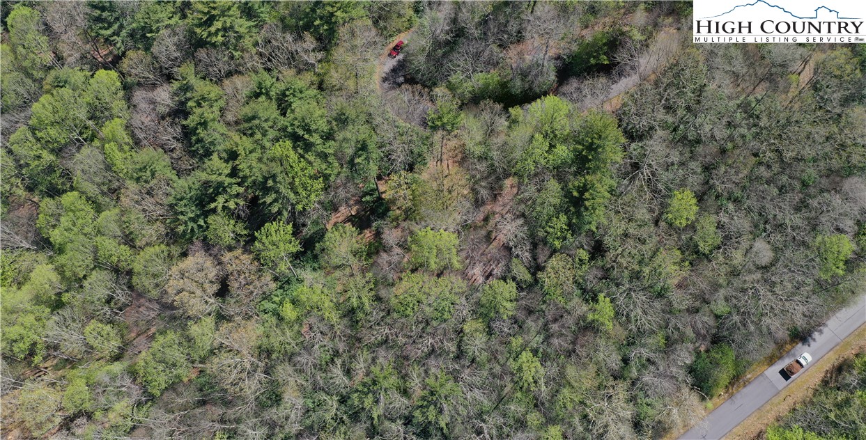 Spring Hollow Road Banner Elk, NC 28604 - Photo 11 of 21 Gallery Image 11