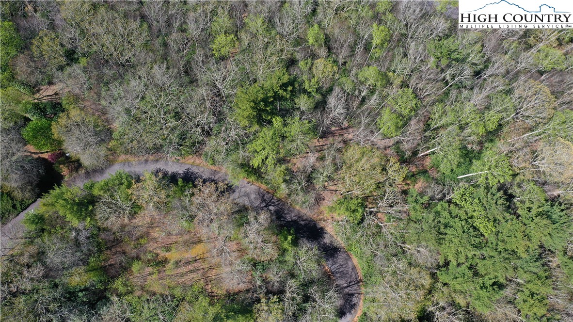 Spring Hollow Road Banner Elk, NC 28604 - Photo 13 of 21 Gallery Image 13