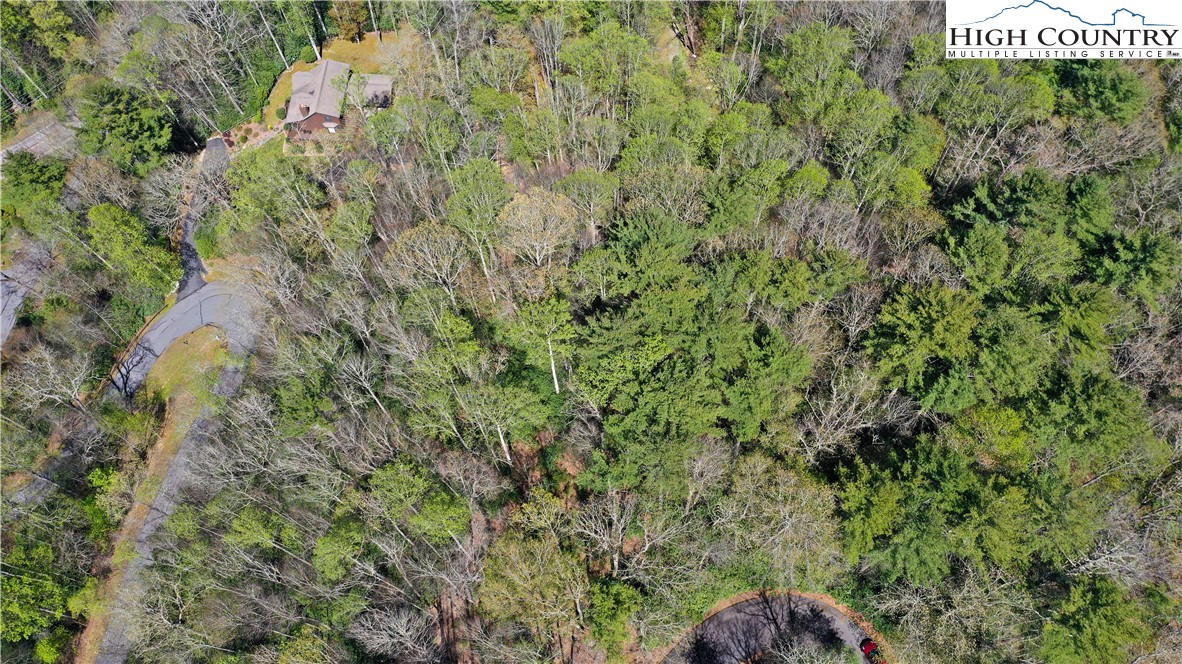 Spring Hollow Road Banner Elk, NC 28604 - Photo 15 of 21 Gallery Image 15
