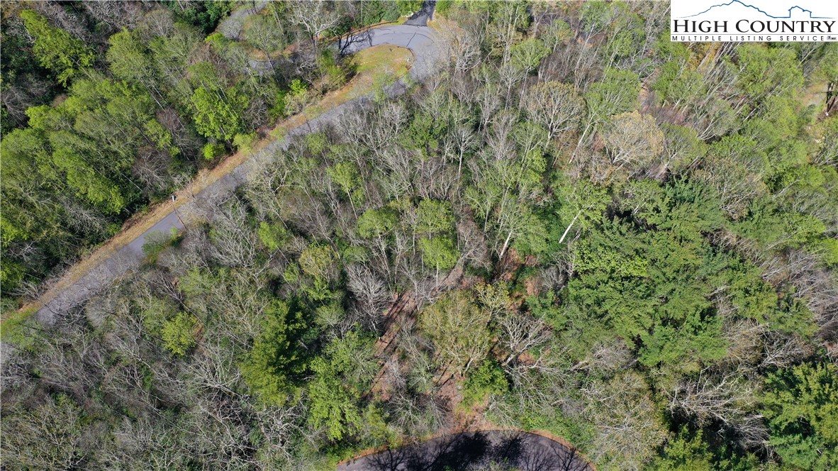Spring Hollow Road Banner Elk, NC 28604 - Photo 16 of 21 Gallery Image 16
