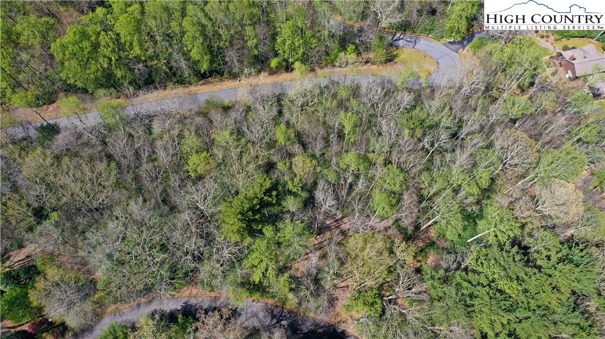 Spring Hollow Road Banner Elk, NC 28604 - Photo 17 of 21 Gallery Image 17