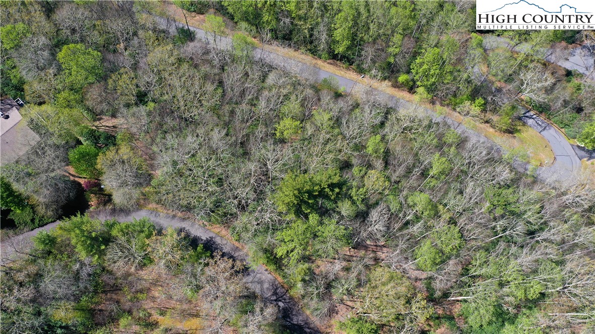 Spring Hollow Road Banner Elk, NC 28604 - Photo 18 of 21 Gallery Image 18