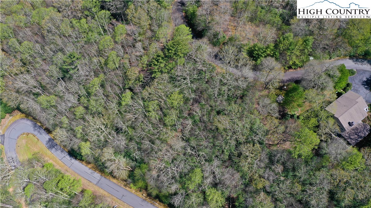 Spring Hollow Road Banner Elk, NC 28604 - Photo 9 of 21 Gallery Image 9