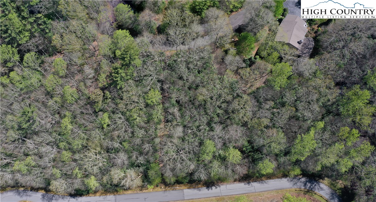 Spring Hollow Road Banner Elk, NC 28604 - Photo 10 of 21 Gallery Image 10