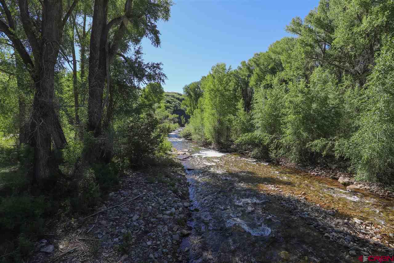 1900 County Road 124 Mancos, CO 81328 - Photo 4 of 35 a view of a forest with trees