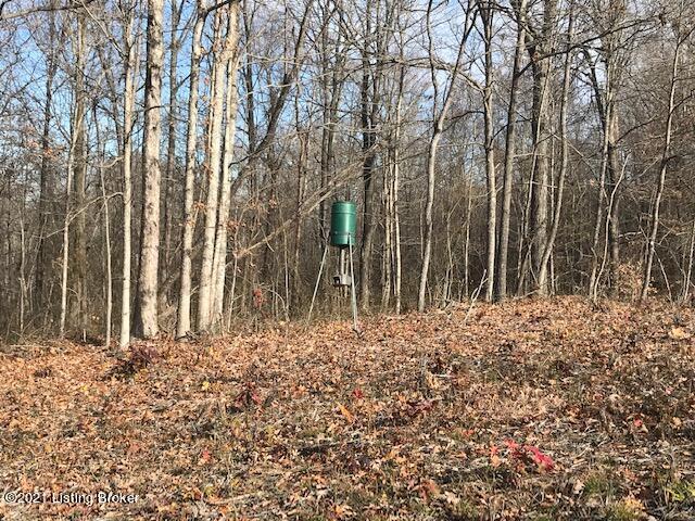 0 Tar Springs Road Cloverport, KY 40111 - Photo 17 of 35 jason.jpg20