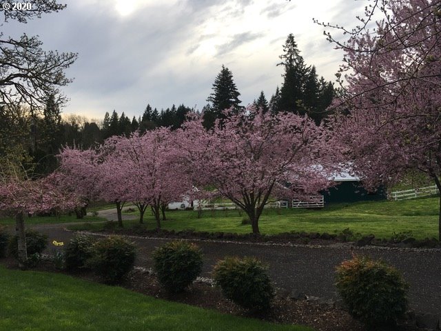 18101 Northwest 47th Court Ridgefield, WA 98642 - Photo 29 of 31 Gallery Image 29