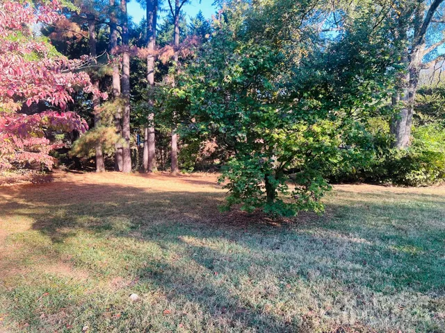 a view of road with trees