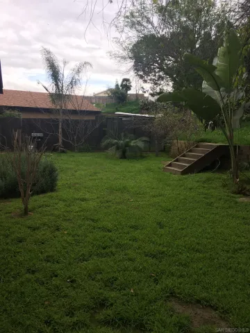 a view of a backyard