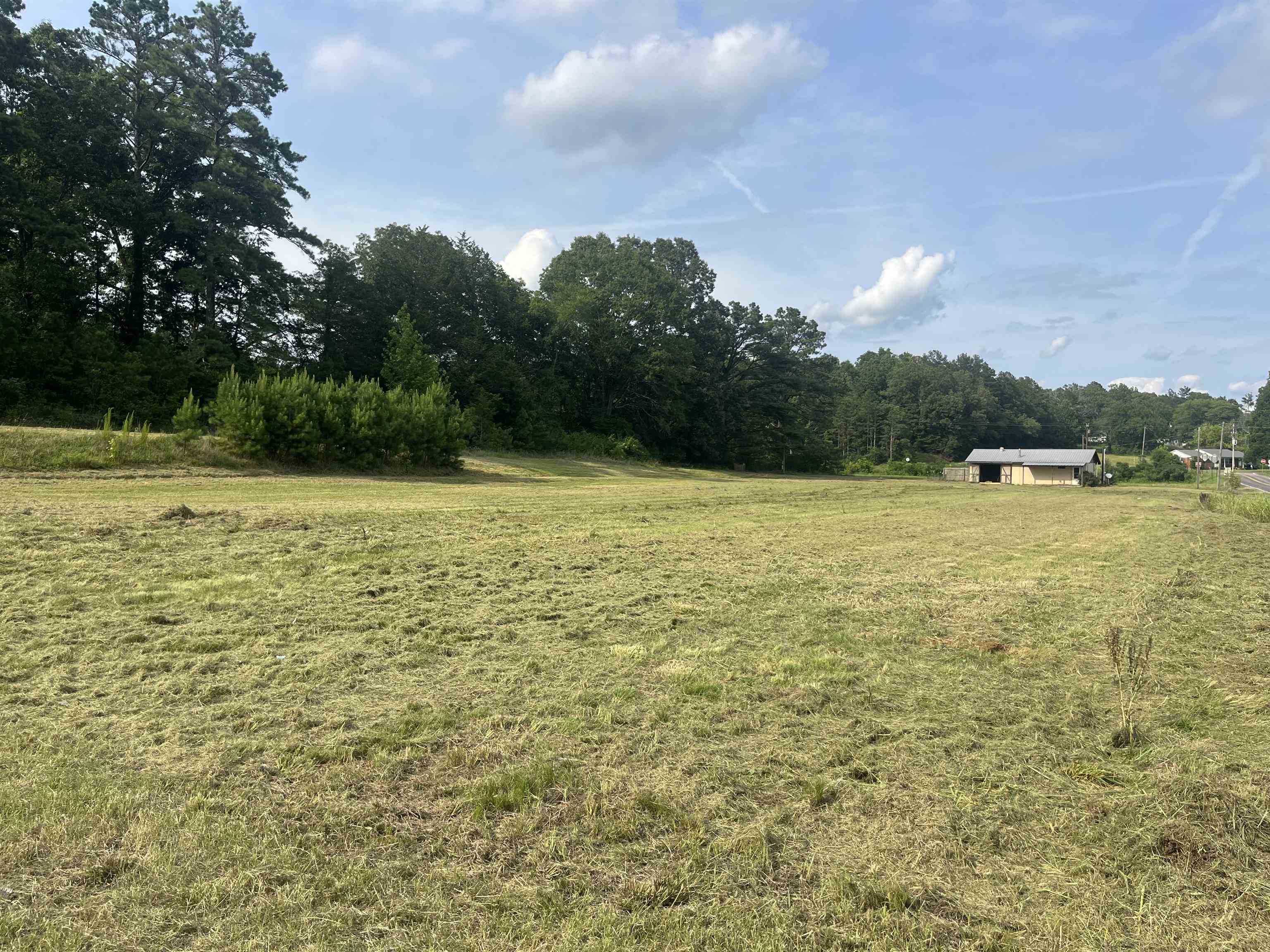 170 Leapwood Road Enville, TN 38332 - Photo 33 of 33 Expansive open land with a grass covering, bordered by a dense tree line