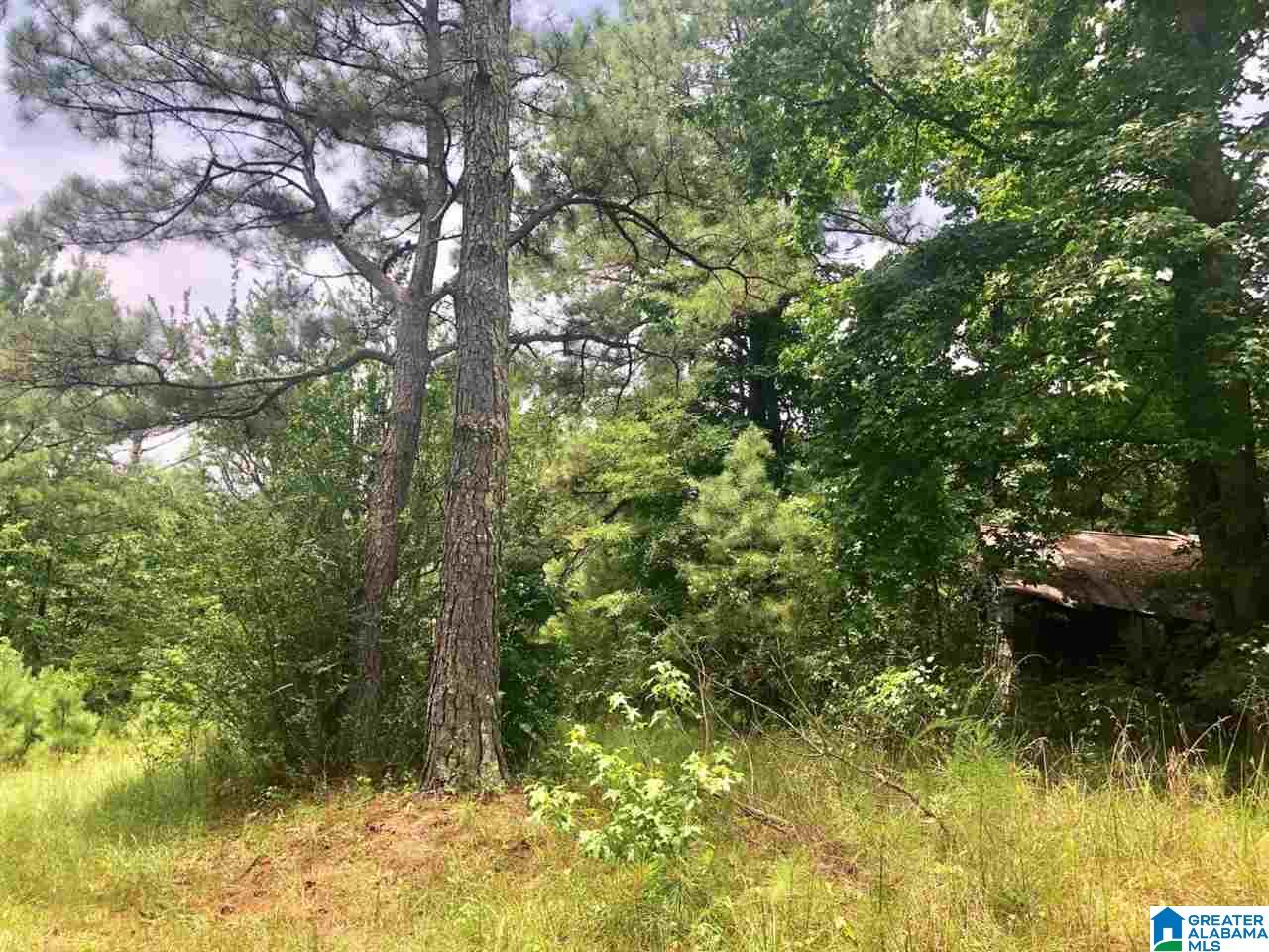 Broken Arrow Road Goodwater, AL 35072 - Photo 26 of 28