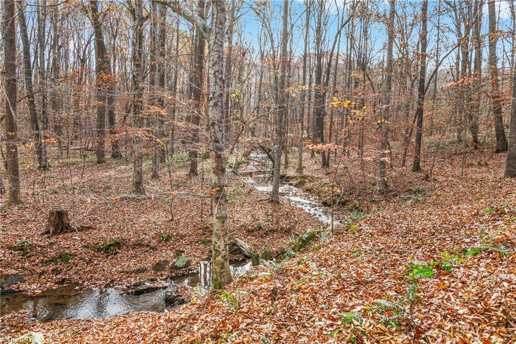 4500 Ridge Trail Efland, NC 27243 - Photo 33 of 39 Gallery Image 33