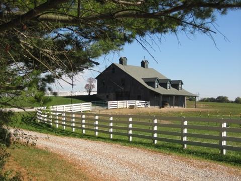 1460 Putnam Road Southwest Pataskala, OH 43062 - Photo 51 of 56 Gallery Image 51