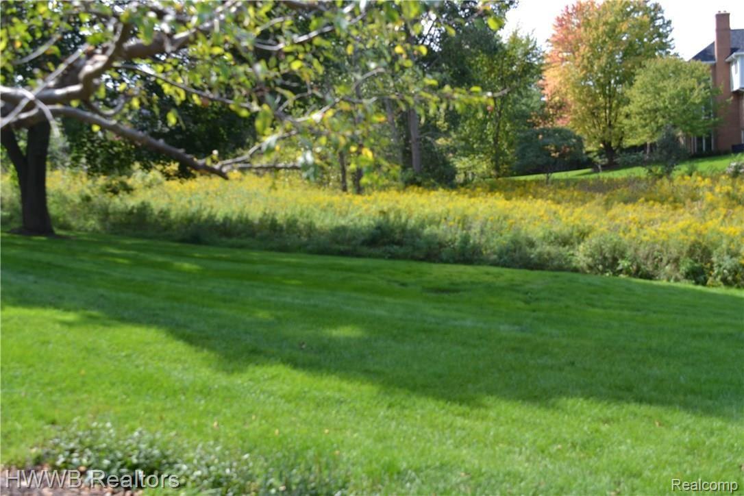 4742 Goodison Pl Drive Rochester, MI 48306 - Photo 42 of 50 48 - Backyard Buffer.JPG