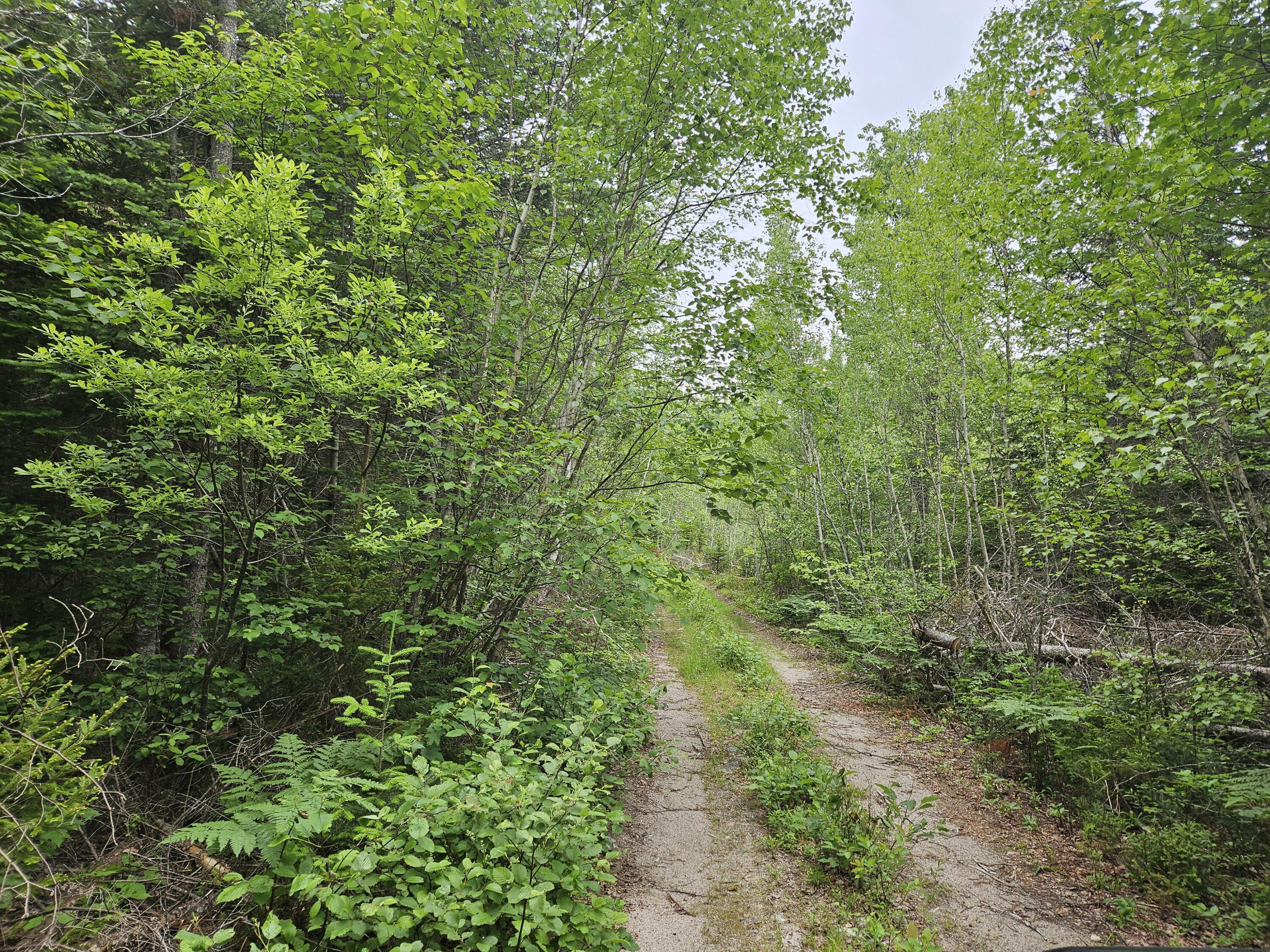 M17-l5&11 Number 7 Road Steuben, ME 04680 - Photo 23 of 27 T7 access road