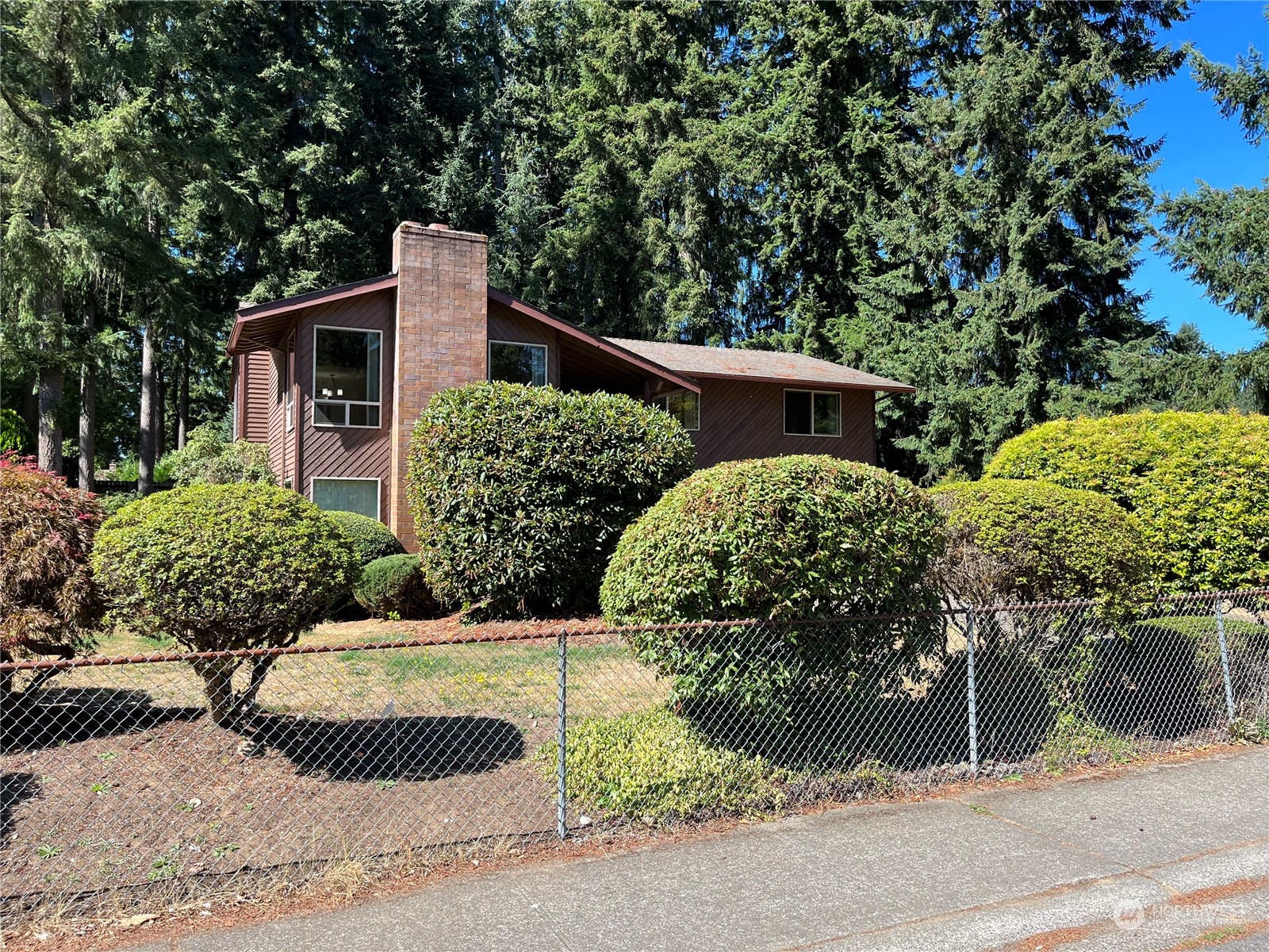 14005 149th Place Southeast Renton, WA 98059 - Photo 30 of 35 a view of a back yard of the house