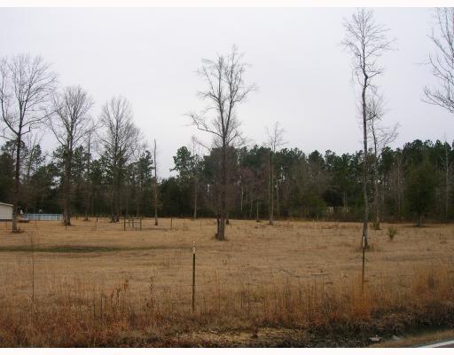 161 Jr Steede Road Lucedale, MS 39452 - Photo 7 of 8 Additional Photo