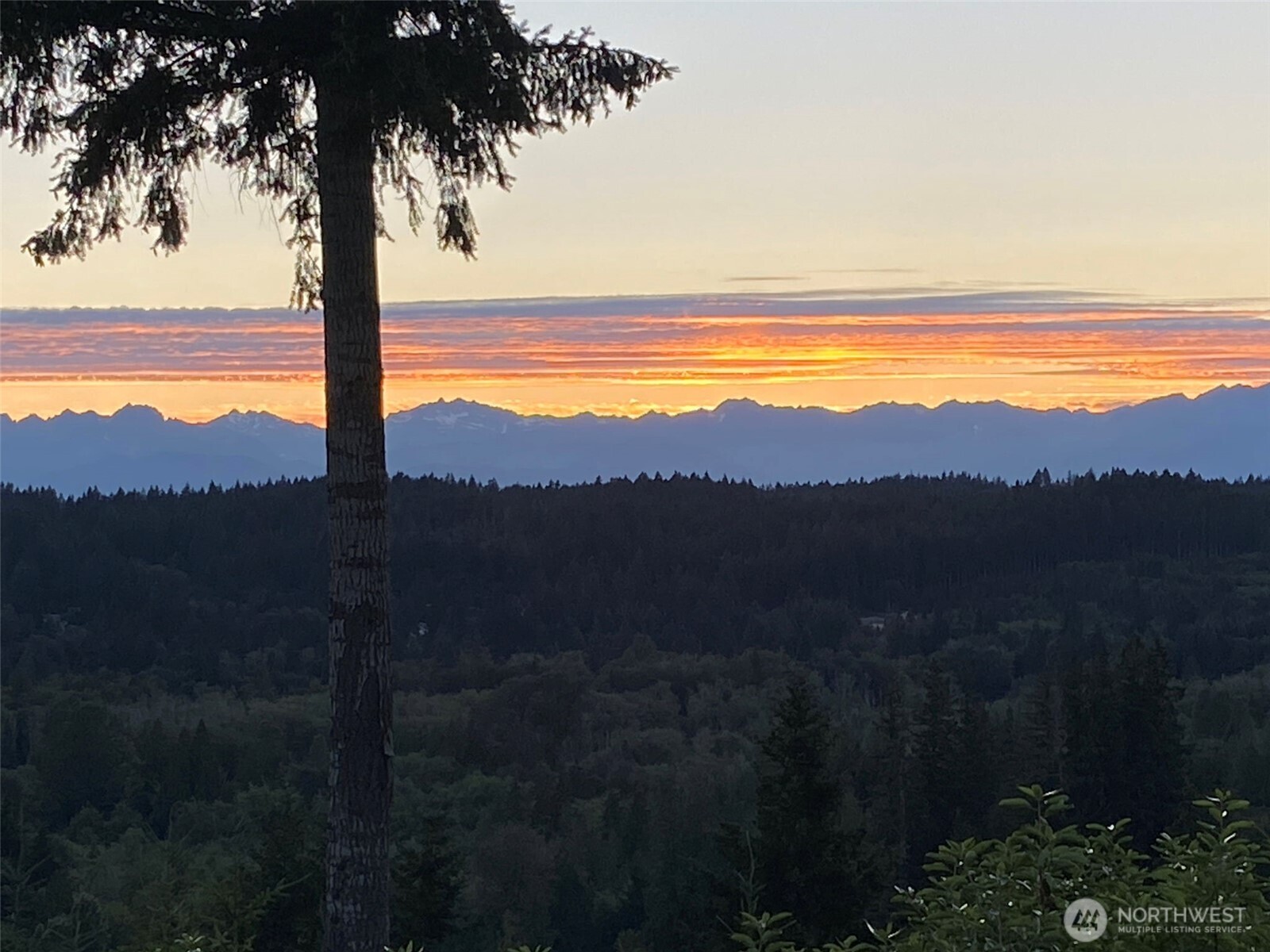 383 Romance Hill Road, Unit D Belfair, WA 98528 - Photo 39 of 39