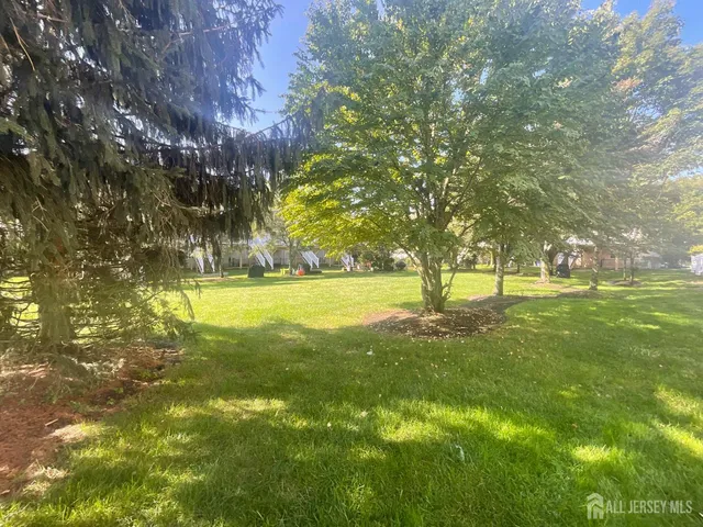 a view of yard with trees