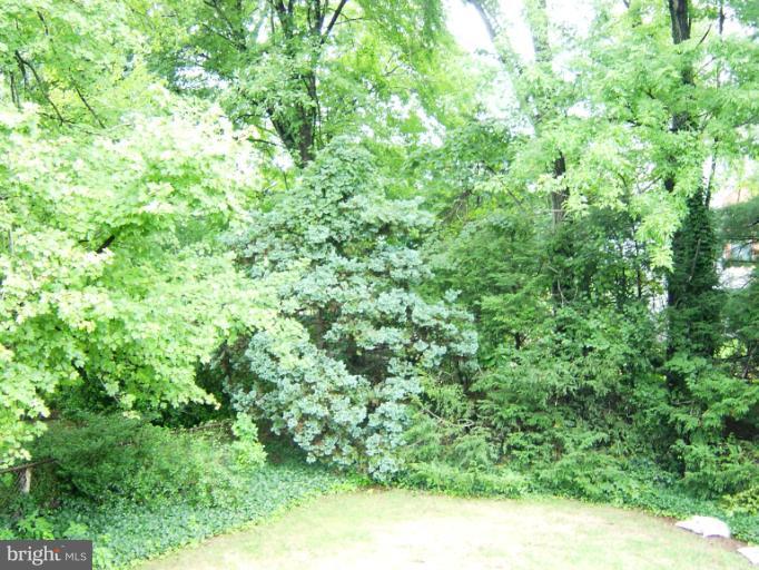 1926 Foxhall Road McLean, VA 22101 - Photo 1 of 13 Gorgeous Back Yard backs to Parkland