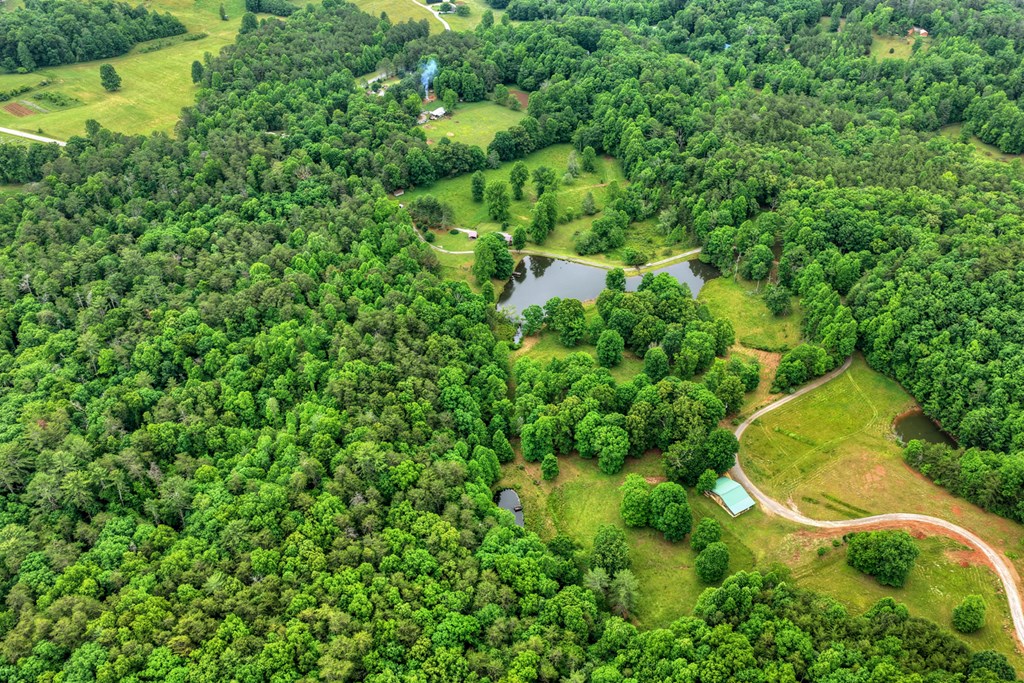 20.11 Mountain View Road McCaysville, GA 30555 - Photo 29 of 51