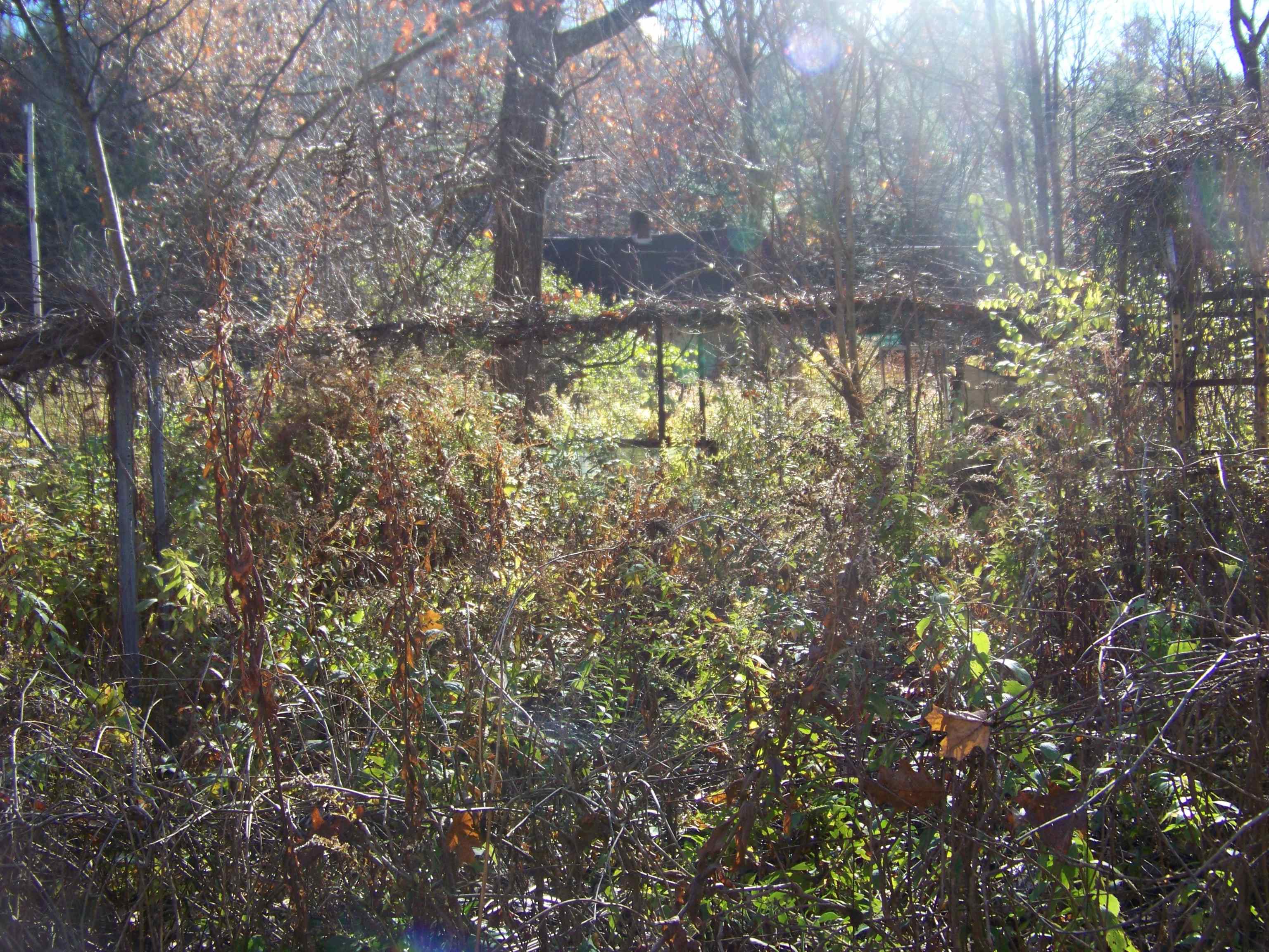 24 Gap Road Goshen, VT 05733 - Photo 3 of 8