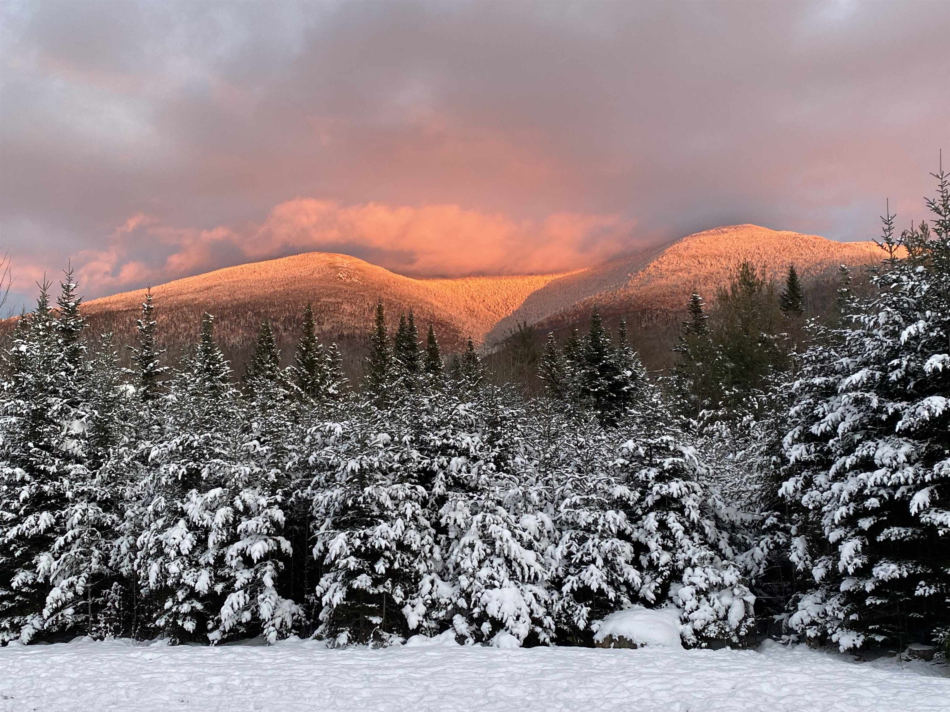 195 Slide Brook Road Easton, NH 03580 - Photo 14 of 39