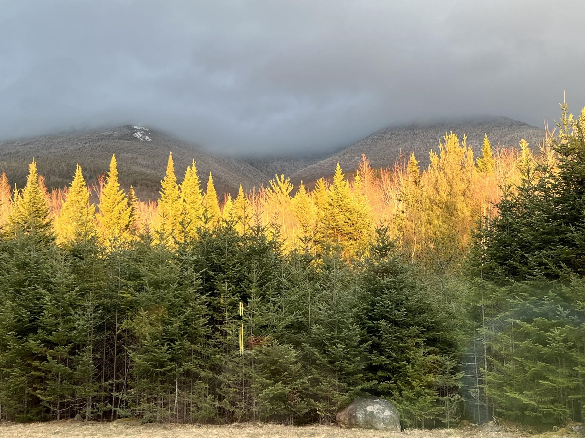 195 Slide Brook Road Easton, NH 03580 - Photo 15 of 39