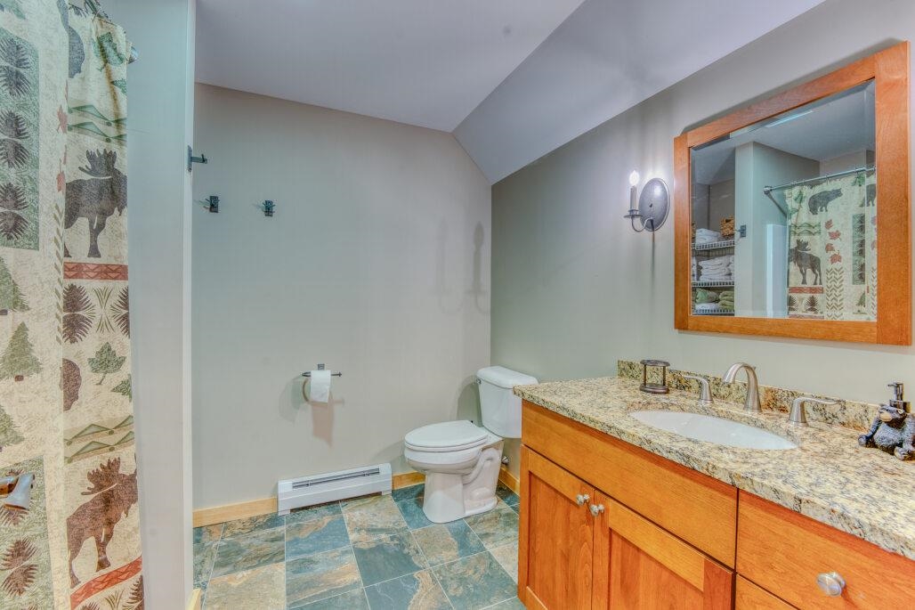 195 Slide Brook Road Easton, NH 03580 - Photo 23 of 39