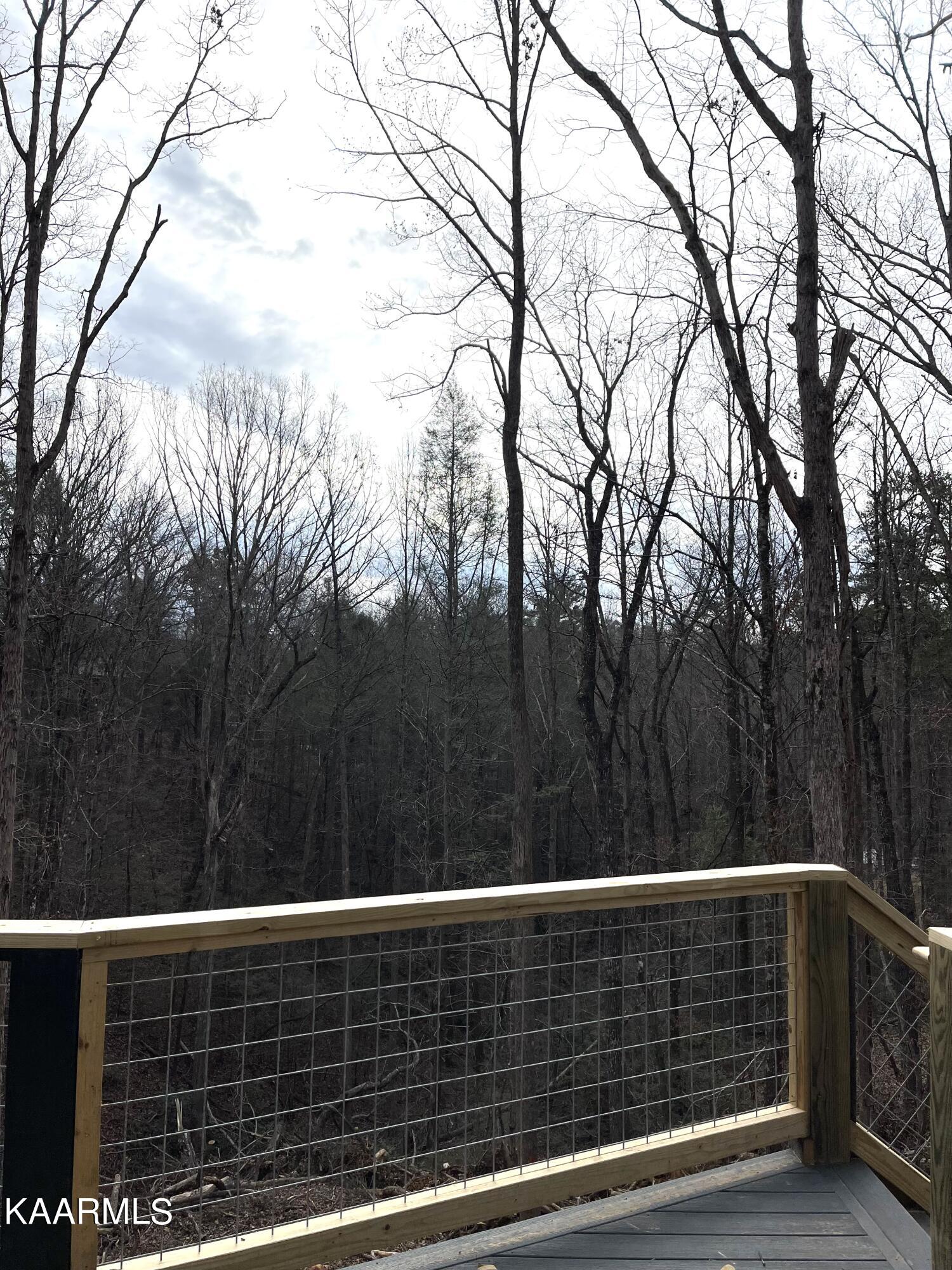 1611 South Mountain View Road Sevierville, TN 37876 - Photo 19 of 26 IMG-5179