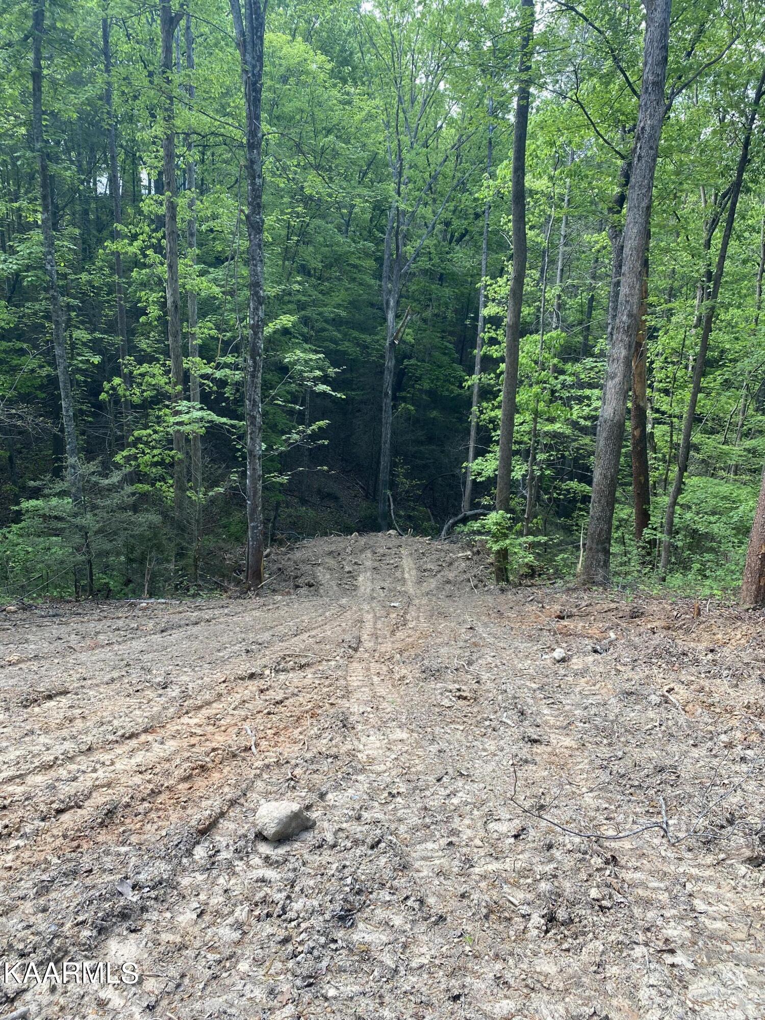 1611 South Mountain View Road Sevierville, TN 37876 - Photo 24 of 26 Lot