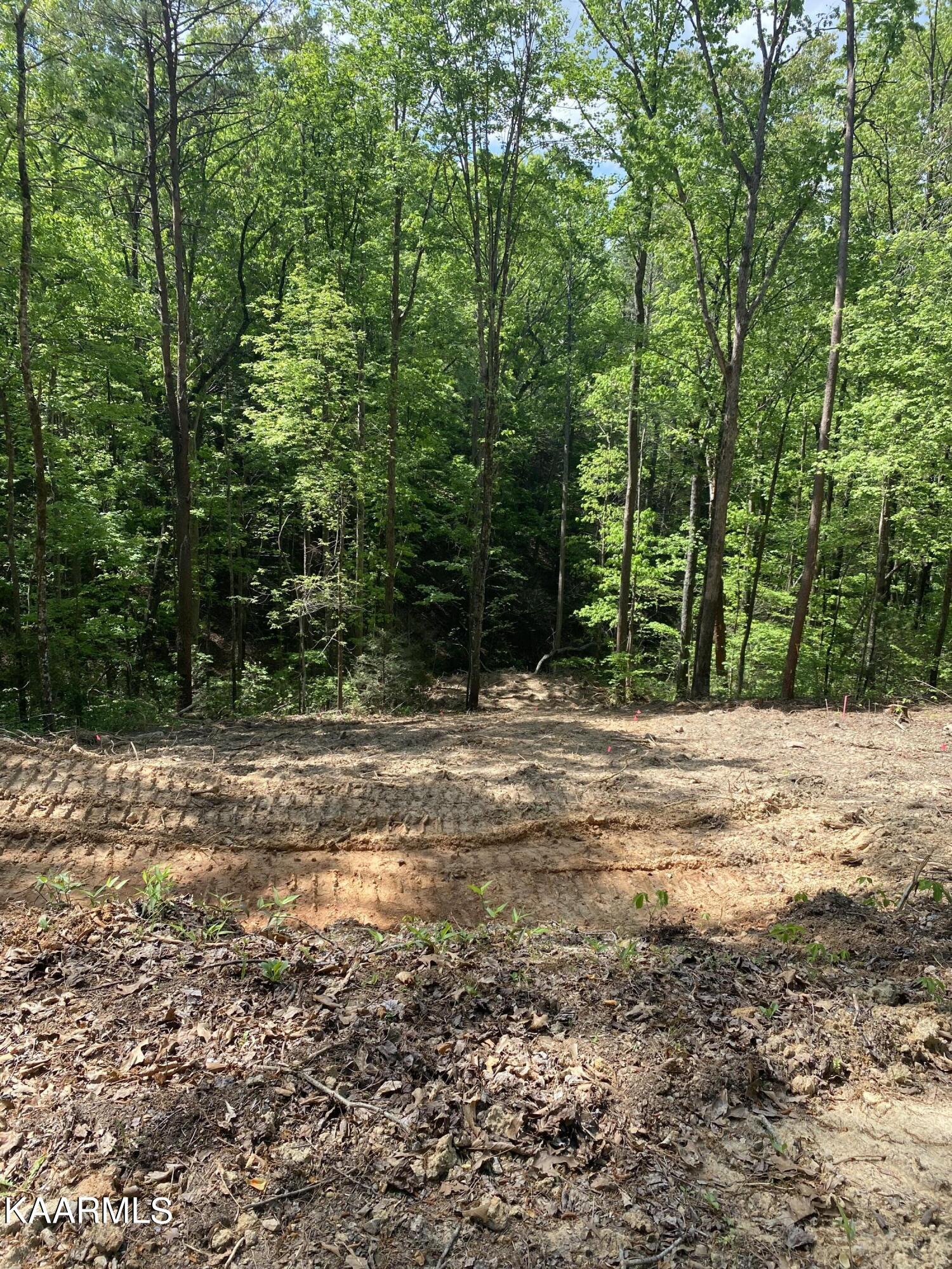 1611 South Mountain View Road Sevierville, TN 37876 - Photo 25 of 26 Lot