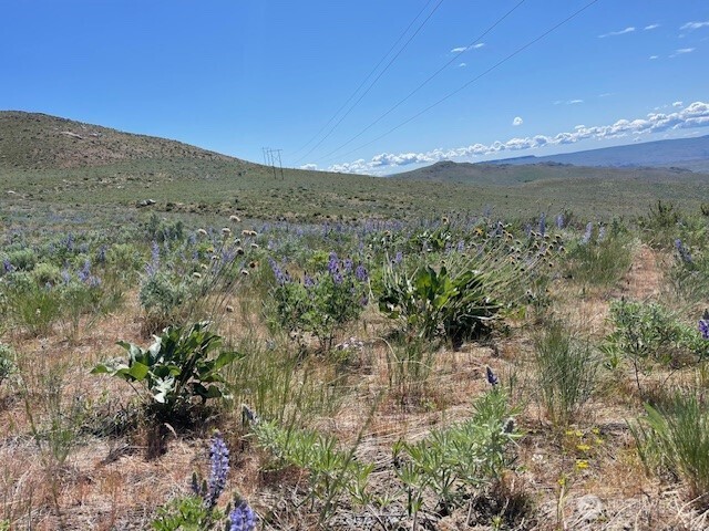 59 Bill Shaw Road Pateros, WA 98846 - Photo 1 of 24 a view of a mountain in the distance