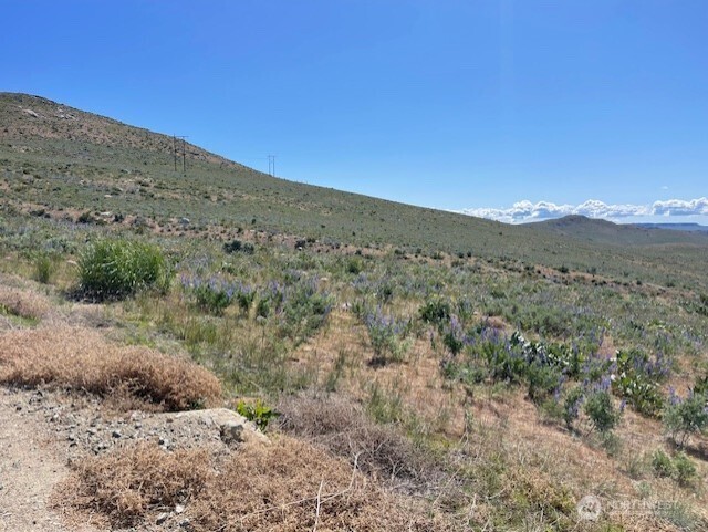 59 Bill Shaw Road Pateros, WA 98846 - Photo 12 of 24 a view of a mountain range with trees in the background