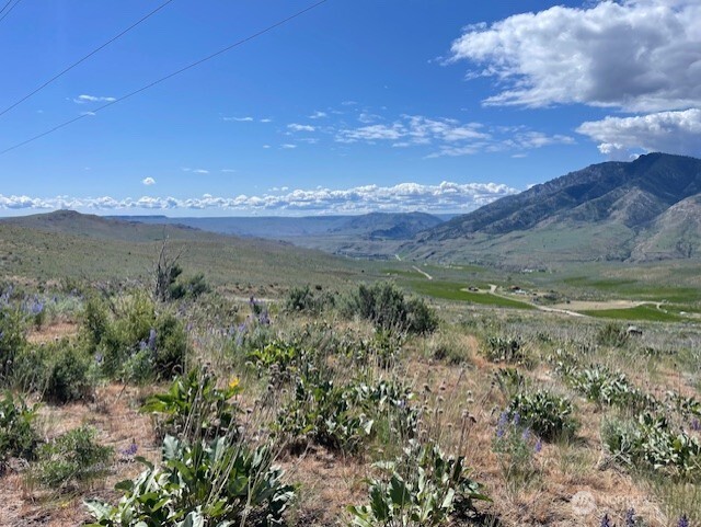 59 Bill Shaw Road Pateros, WA 98846 - Photo 18 of 24 a view of a lake with a mountain in the background