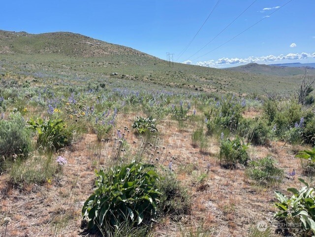 59 Bill Shaw Road Pateros, WA 98846 - Photo 20 of 24 a view of a mountain in the distance
